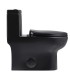 Bathroom Toilet T6 Shiny Black